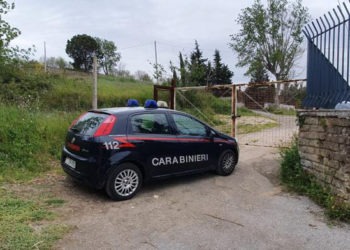 Napoli, lavori abusivi su un fondo del Parco Regionale dei Campi Flegrei: denunciato un 26enne