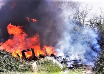 Rogo tossico ad Aversa: intervengono le guardie del Wwf