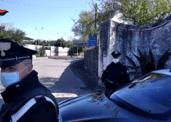 Colpo ai clan del Vesuviano: 26 arresti e sequestri per 50 milioni di euro