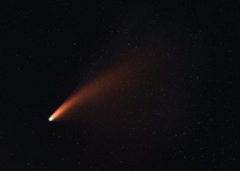 La poltrona di Galileo | Di batteri mercanti di fosforo e chiome di comete