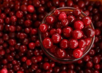 Il farmacista digitale | Cistite: dieta e rimedi naturali per prevenirla