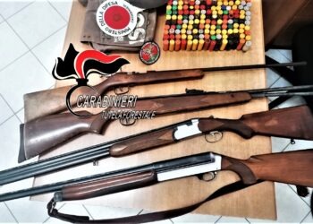 Ischia, scoperti 50 esemplari di uccelli congelati in un freezer: denunciati due bracconieri