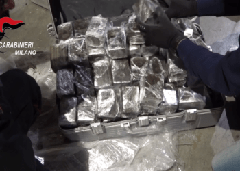 Importano dalla Spagna 256 chili di hashish: ai domiciliari due coniugi nell’Avellinese (Video)