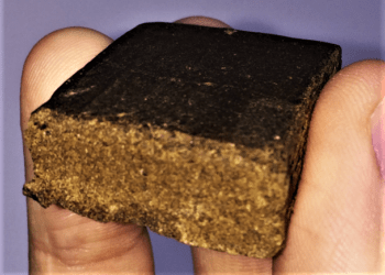 Nasconde la droga nelle parti intime: 25enne arrestato nel Cilento