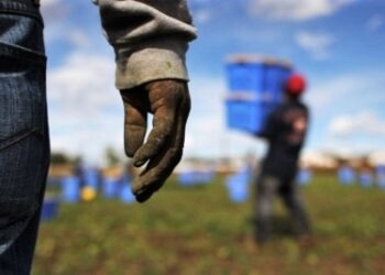 Sfruttamento del lavoro nell’Avellinese: denunciate tre persone