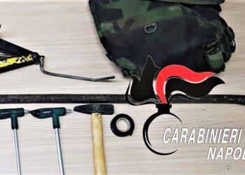 Grumo Nevano, tenta di derubare un negozio per animali: 33enne in manette