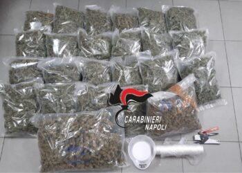 Marano di Napoli, nascondeva otto chili di marijuana nel garage: arrestato 36enne