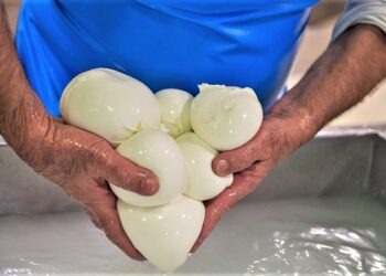 Le mani del clan dei Casalesi sulla distribuzione della mozzarella in provincia di Caserta