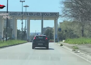 Faida di Scampia, due arresti per l’omicidio De Felice avvenuto nel 2004 (Video)