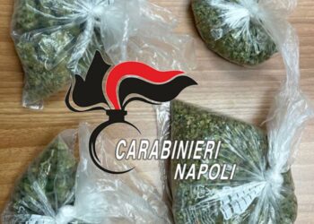 Napoli, in auto con più di 100 grammi di marijuana: 25enne arrestato dai Carabinieri