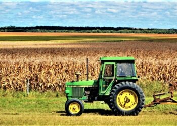 “Global Food Innovation Forum”: nasce la prima comunità di agrifood in Campania
