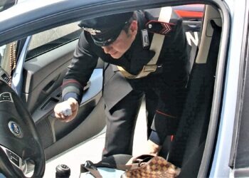 Avellino, nasconde la cocaina sotto il sedile dell’auto: 20enne denunciato