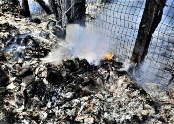 Gricignano, a fuoco le campagne vicine all’Asse mediano (Foto e video)