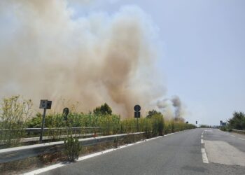 Incendio sulla provinciale tra Castel Volturno e Mondragone