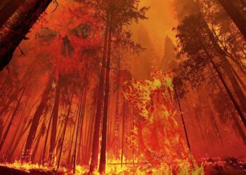 Rischio incendi, al via la campagna di prevenzione della Protezione Civile e Carabinieri forestali con i Comuni a rischio