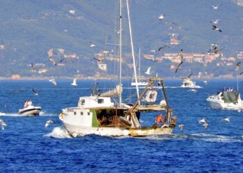 peschereccio impazzito plana in spiaggia a Maiori