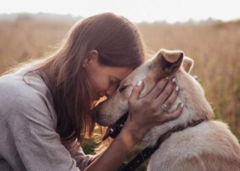 26 agosto: oggi è la Giornata internazionale del cane