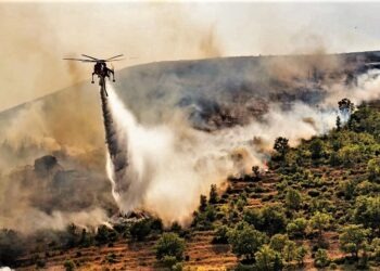 Ancora incendi nel Casertano: in fiamme le montagne di San Leucio (Foto)