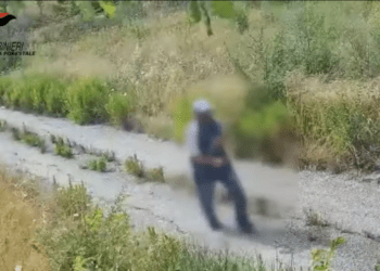 Benevento, i carabinieri arrestano piromane grazie alle telecamere nascoste che lo hanno ripreso (Video)