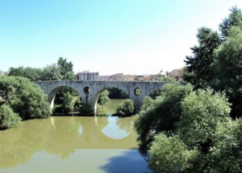 Carabinieri scoprono piantagione di marijuana