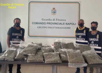 Frattamaggiore, trovati 22 kg di marijuana nascosti in tre pacchi, in un centro spedizione merce (Video)