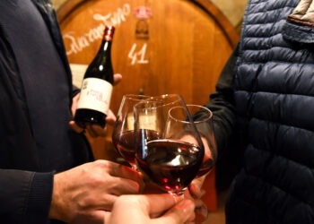 Vinalia e Calici di Stelle