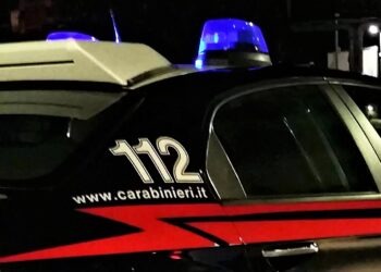 Blitz alla rotonda di San Nicola La Strada: sequestrati droga e coltelli