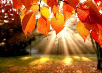 Addio estate: oggi è il giorno dell’equinozio di autunno