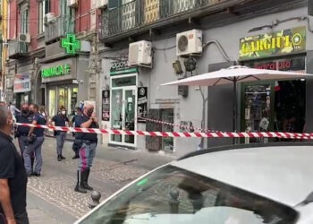 Mariano Cannio, il domestico accusato dell’omicidio di Samuele: gip convalida fermo per omicidio