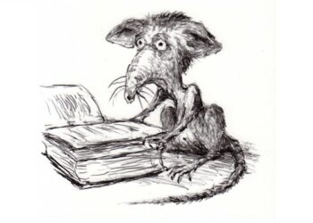 Firmino | Sam Savage