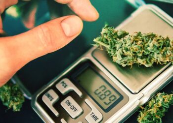 Corriere della droga arrestato nel Casertano