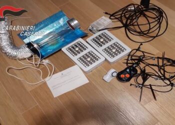 Caserta, nascondeva la droga in casa: 41enne di San Nicola la Strada arrestato per spaccio
