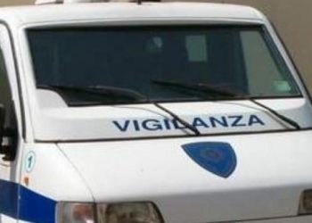 Pomigliano – Casalnuovo, assalto al portavalori: ferita una guardia giurata