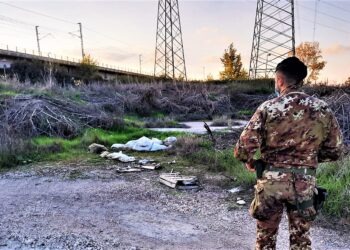 Gricignano di Aversa, scoperte carcasse di animali vicino ai depuratori
