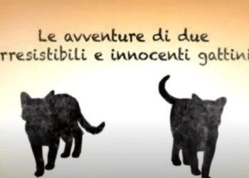 L’incredibile storia di Soia e Tofu | Pallavi Aiyar