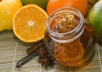 La propoli un vero alimento funzionale