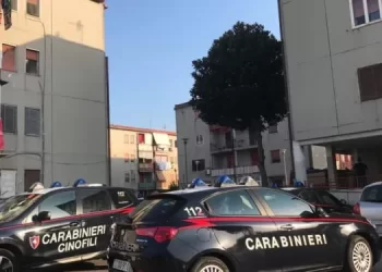 Lotta al crimine, operazione Alto impatto nella città di Torre Annunziata