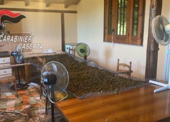 Villa di Briano, blitz antidroga e sequestro di 15 kg di marijuana durante un servizio di controllo del territorio