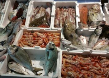 Sequestri e multe dei Nas al mercato ittico di Pozzuoli