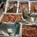 Sequestri e multe dei Nas al mercato ittico di Pozzuoli