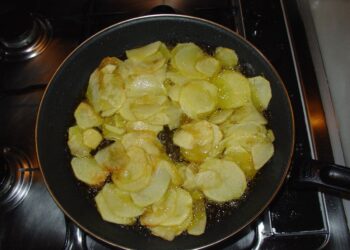 Scegliere il giusto olio per friggere evita danni al nostro organismo