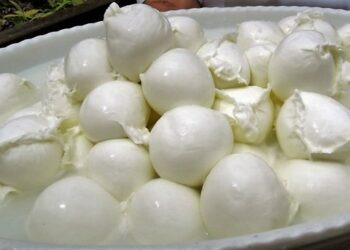 Truffa della mozzarella: sequestrati 1,28 quintali di latticini nel Casertano