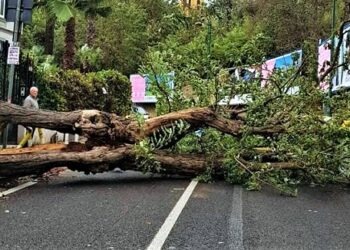 Violento nubifragio a Castel Volturno: alberi abbattuti e strade allagate