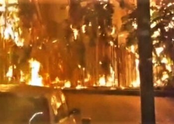 Impressionante incendio a Napoli: villa comunale avvolta dal fuoco