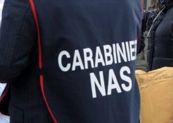 Controlli di Nas e Asl in ristoranti “all you can eat”