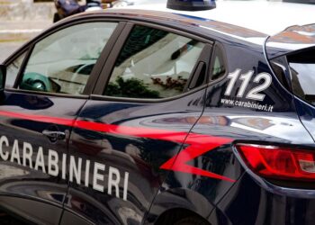 Rifiuti, appalti pilotati: Nel mirino della Dda gare di vari comuni del Casertano. arrestati sindaco e imprenditori