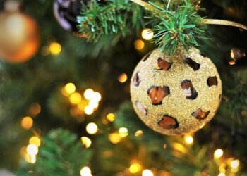 Natale senza pace a Napoli: rubato anche l’albero del consiglio comunale