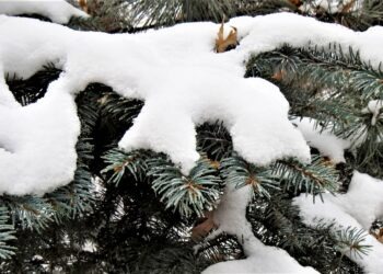 Il freddo dalla Russia arriva in Campania: possibili nevicate in bassa quota