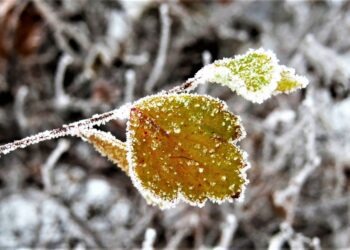 Il maltempo non dà tregua alla Campania: freddo e gelo nel weekend