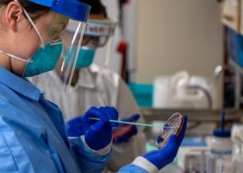 Bollettino Covid “Nuovo record” nel Casertano: 1.939 nuovi casi positivi su 7.252 tamponi processati